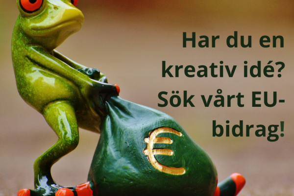 euro bag frog fb