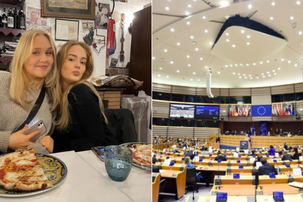 Bildcollage med Sally och Lova och Europaparlamentets kammare i Bryssel